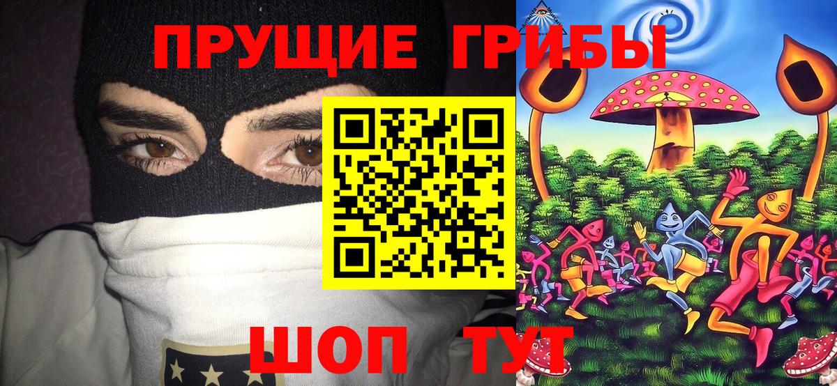 Псилоцибиновые грибы Psilocybine cubensis  Вход с VPN  Магнитогорск 